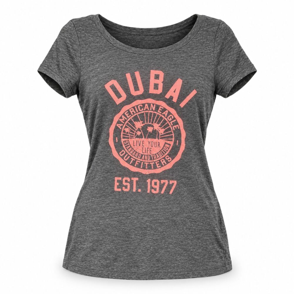 American Eagle Favorite T Gray and Pink Dubai Graphic Tee | Size Small